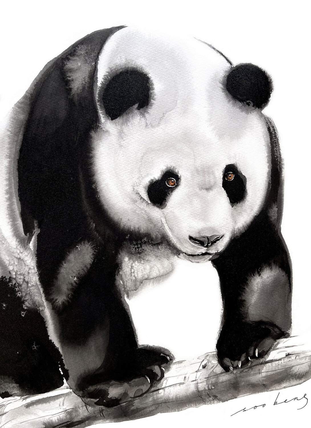 Paws and Pause Soo Beng Lim