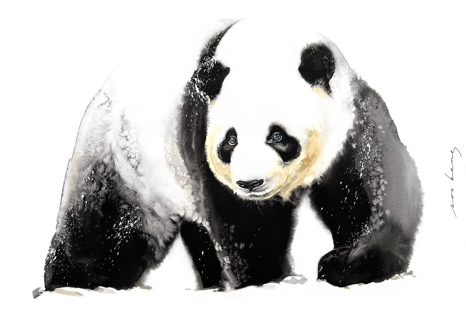 Winter Paws Soo Beng Lim