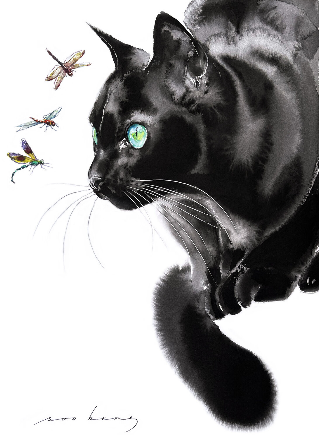 Curious Watcher Soo Beng Lim