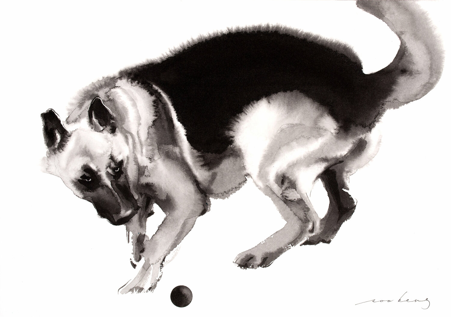 Canine Bounce Soo Beng Lim