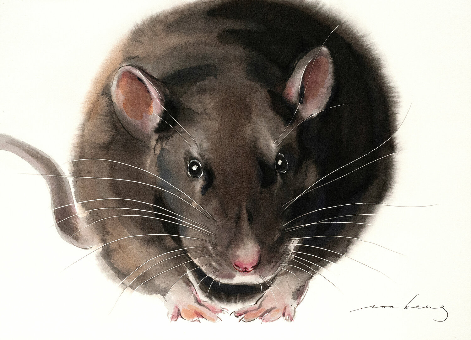 Rat Wit2 Soo Beng Lim