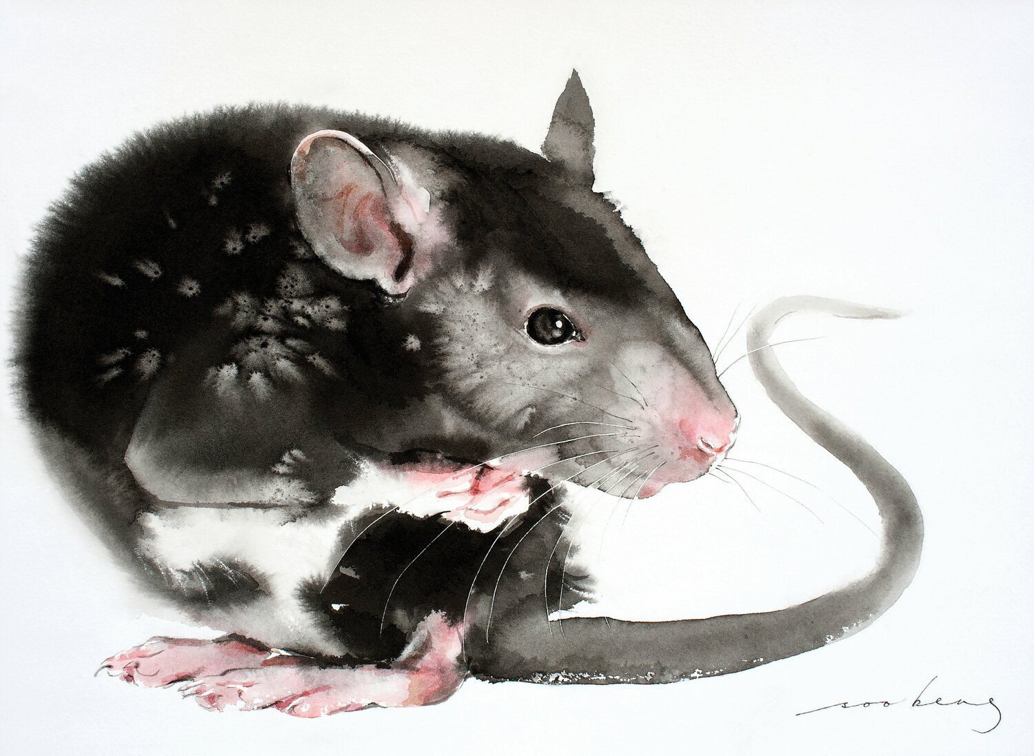 Mouse Instinct Soo Beng Lim