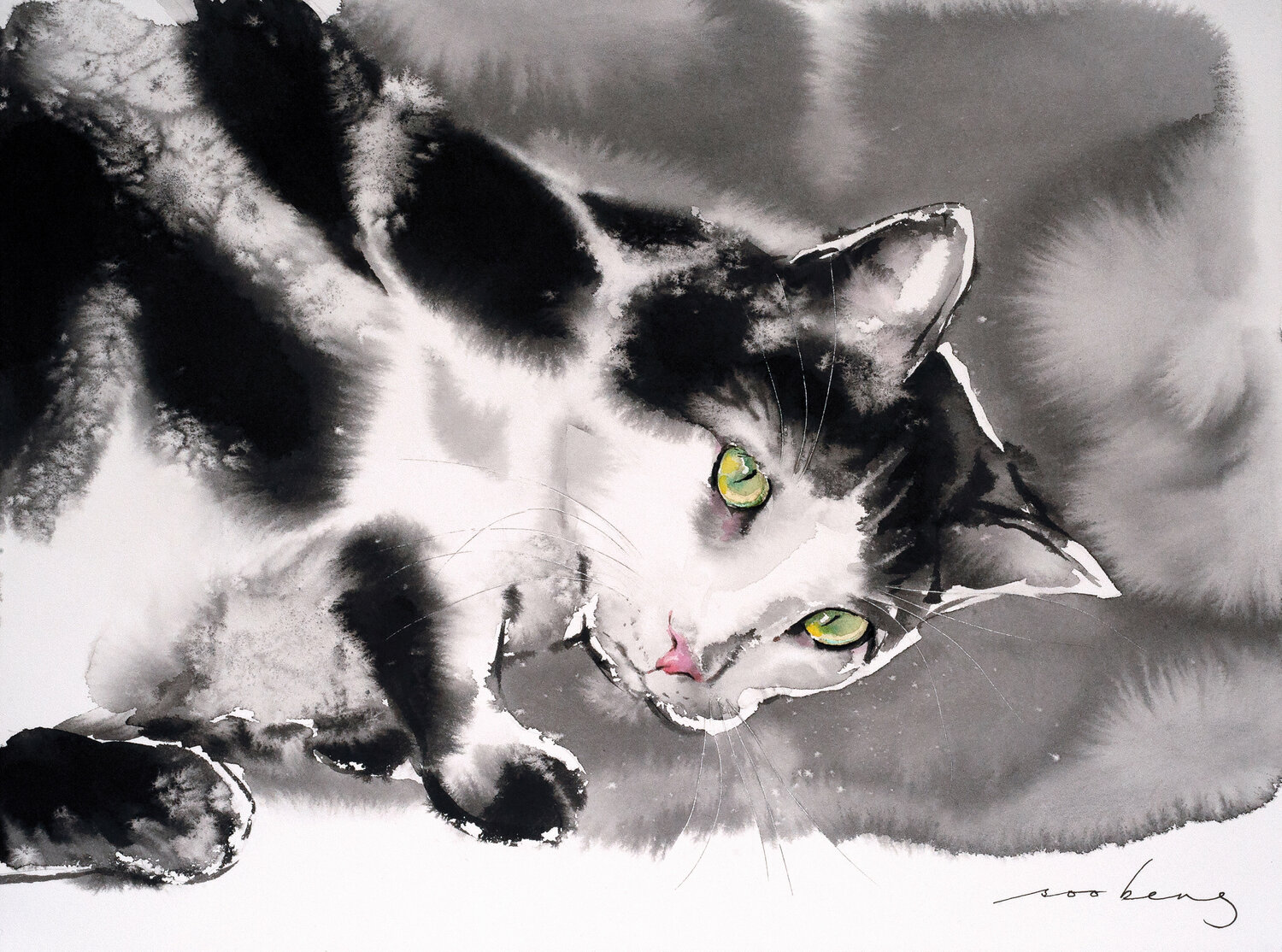 Cat Curiosity Soo Beng Lim