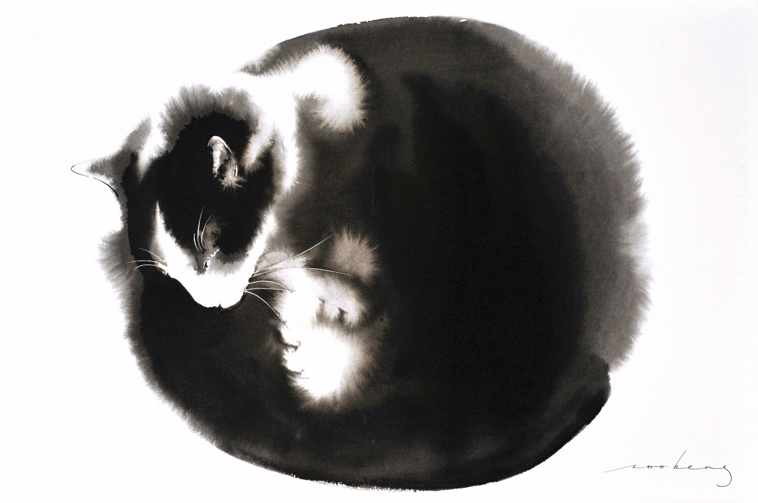 Kitty Ball of Fur2 (SOLD) Soo Beng Lim Zeichnungen zu verkaufen