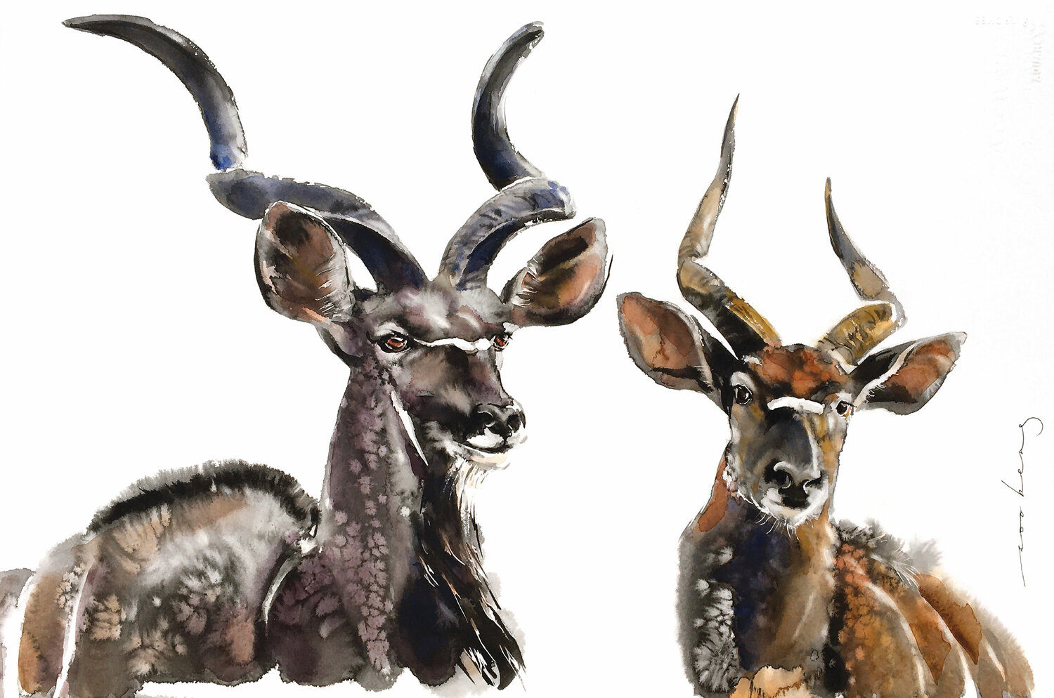 Antelope Charm Soo Beng Lim