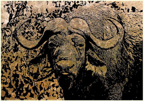 Kaffernbüffel  2 80 110 Rudi Art Peters