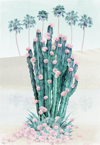 Cactus Oasis van Nadia Attura, Fotografie te koop op Singulart