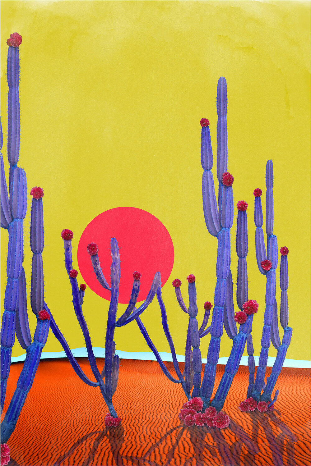 Cactus Sunset Nadia Attura Fotografie te koop