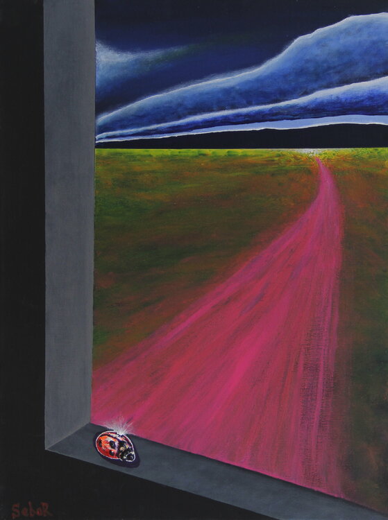 Ladybug Serguei Borodouline