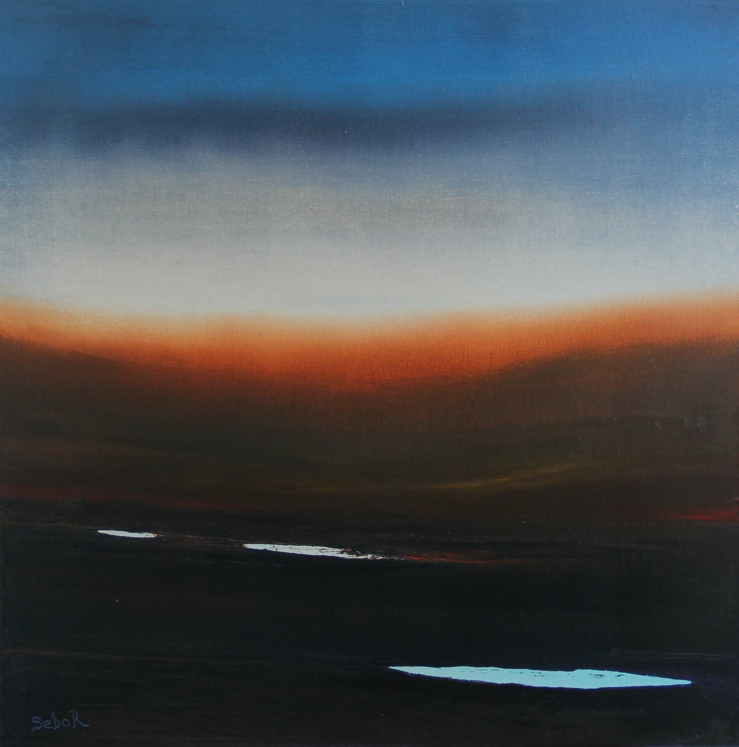 Lakeland Serguei Borodouline