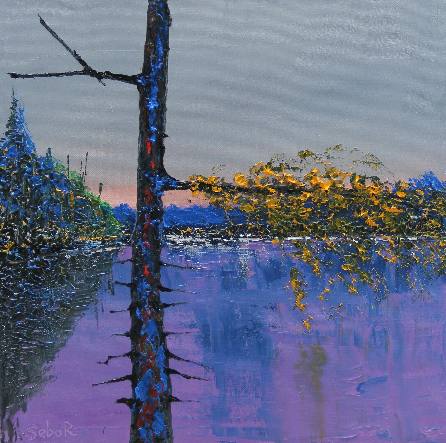 November 03 Serguei Borodouline