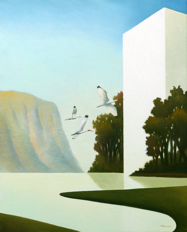 La misura del volo Cesare Reggiani