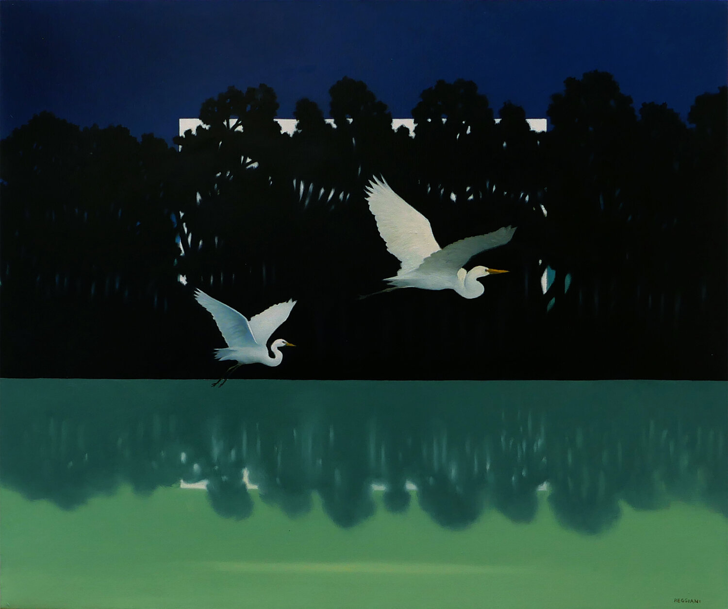 Passaggio notturno Cesare Reggiani