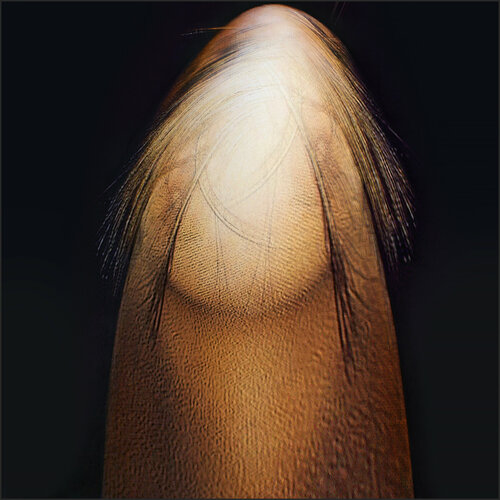 something there that is wrong - そこに何か間違っている - quelque chose là qui ne va pas von Daniel de Saint-Yon, Malerei kaufen auf Singulart
