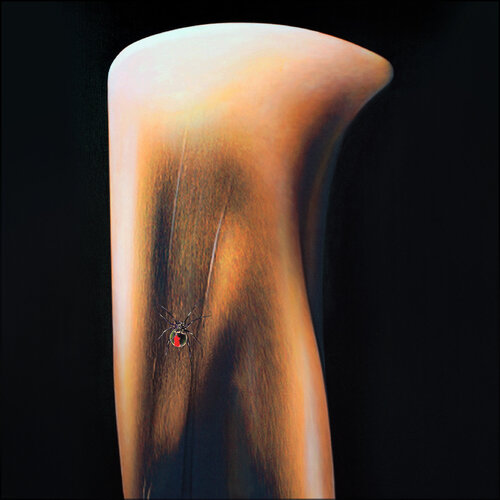 pity spider under a bent knee - 曲がった膝下の哀れなクモ - araignée-pitié sous un genou plié van Daniel de Saint-Yon, Schilderij te koop op Singulart