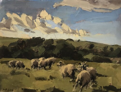 Sheep, South Downs, September V van Anna Pinkster, Werk op papier te koop op Singulart