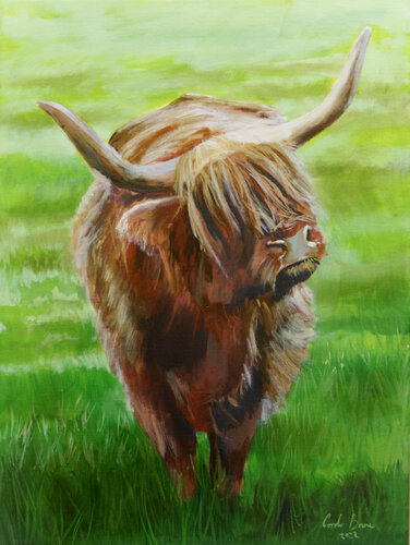 Highland cow painting, made in Scotland art di Gordon Bruce, Pittura in vendita su Singulart