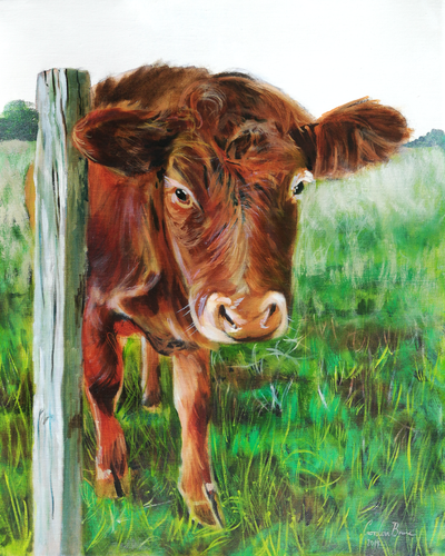 Brown cow de Gordon Bruce, Pintura a la venta en Singulart
