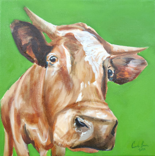 Cow painting van Gordon Bruce, Schilderij te koop op Singulart