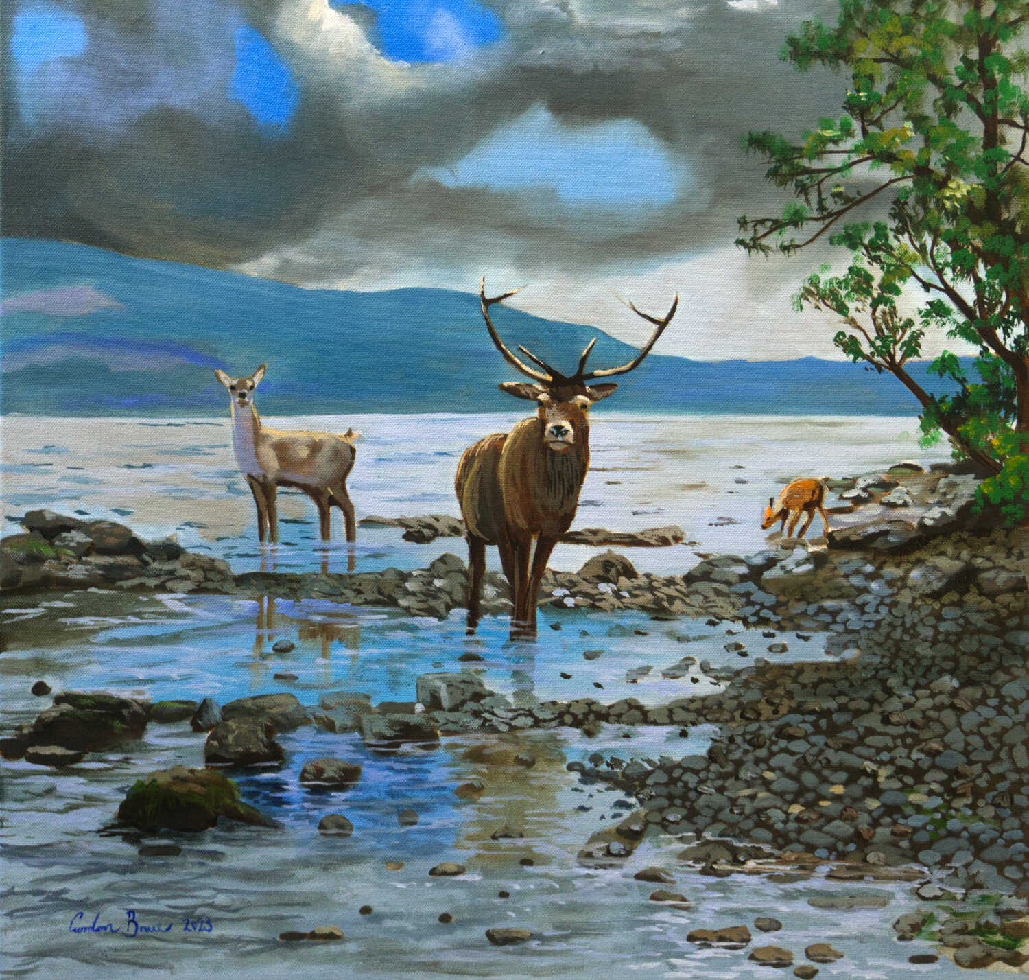 Deer Family at Loch Ness Gordon Bruce