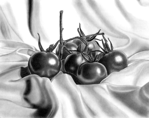Vine Tomatoes di Paul Stowe, Disegno in vendita su Singulart