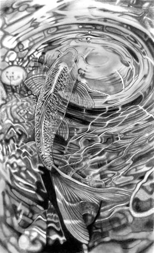Fish Pomd van Paul Stowe, Tekening te koop op Singulart
