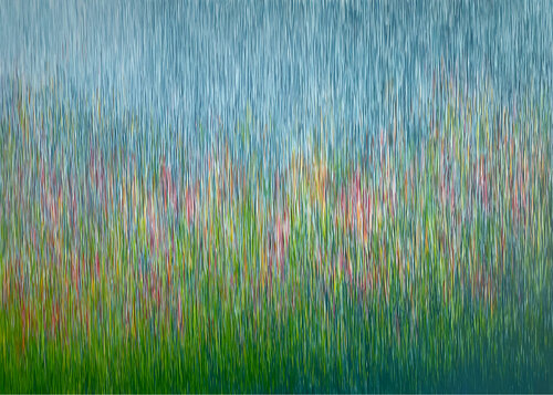 Tranquil Paradise by George Hall, Painting for Sale on Singulart