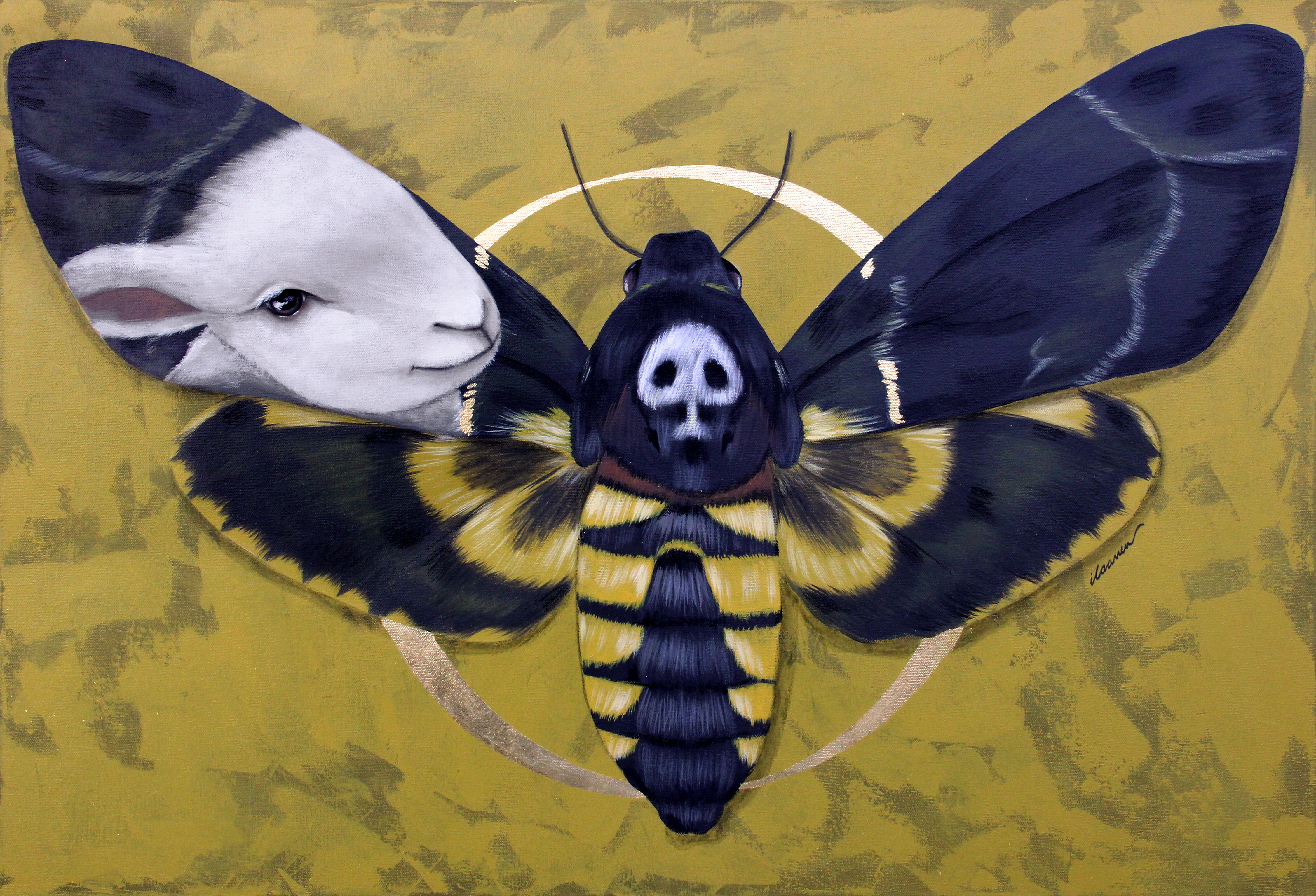 Argomento Falena Dipinti