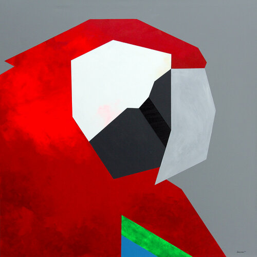 Guacamaya Ilaamen Pelshaw