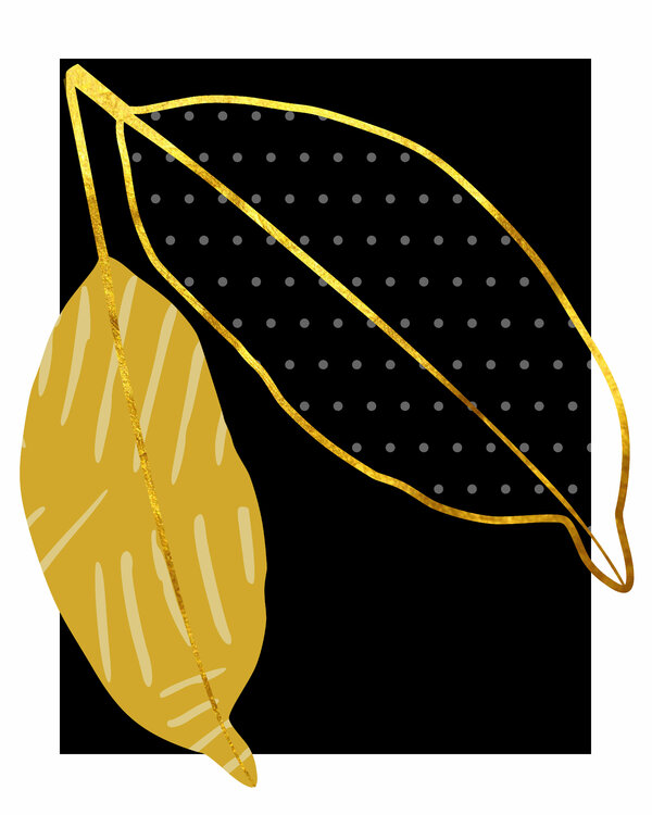 Fall Ilaamen Pelshaw