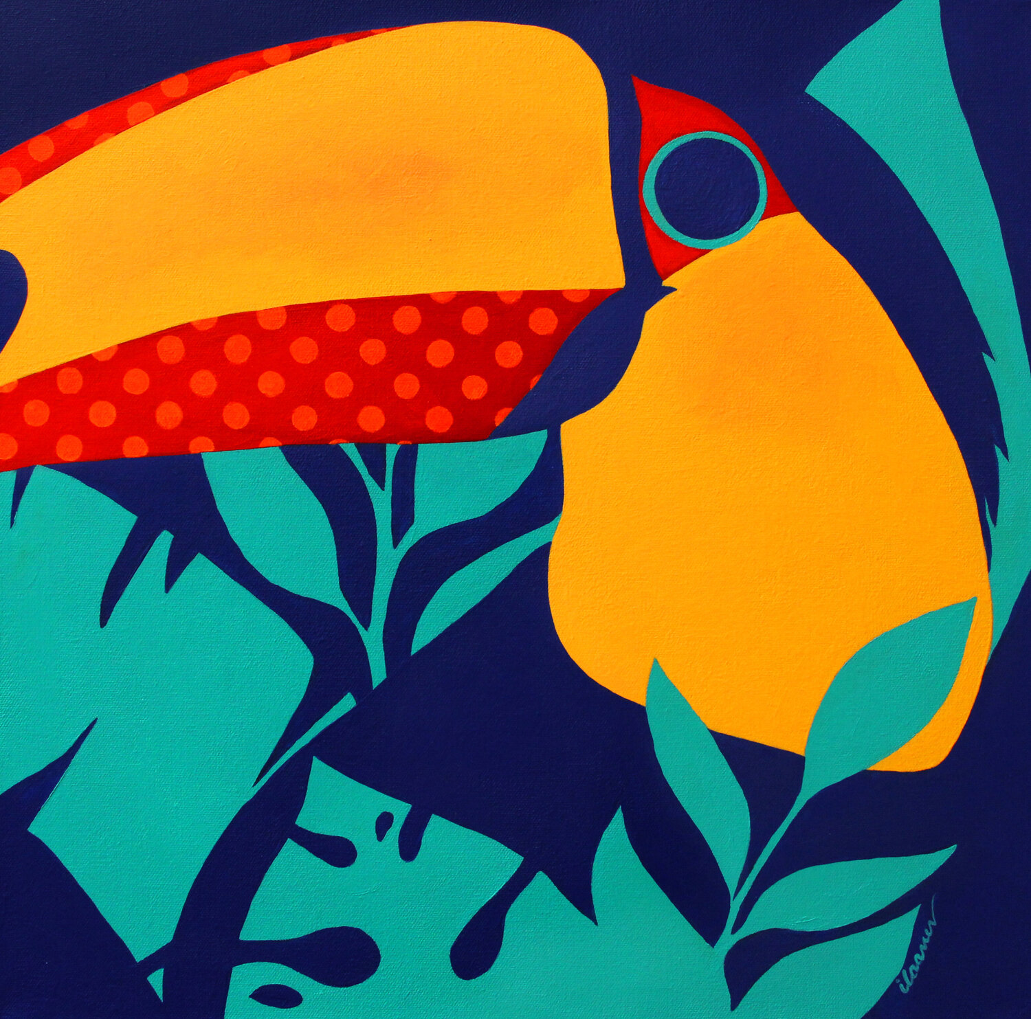 Colorful Life Ilaamen Pelshaw