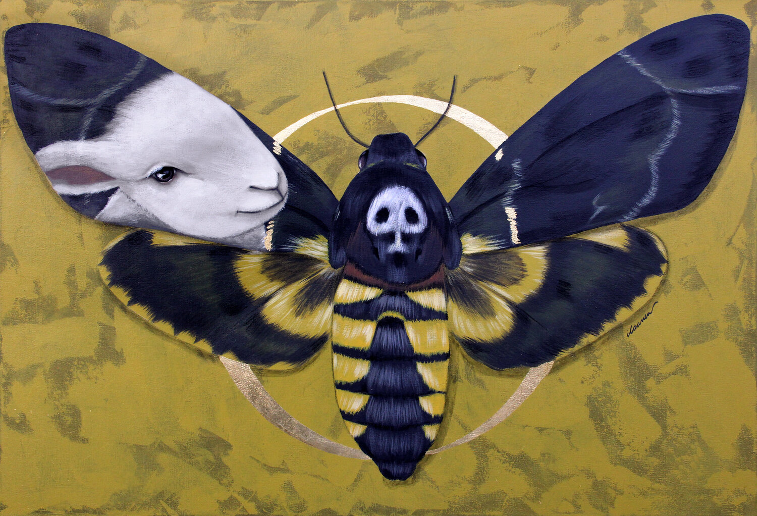 The Dark Night Ilaamen Pelshaw