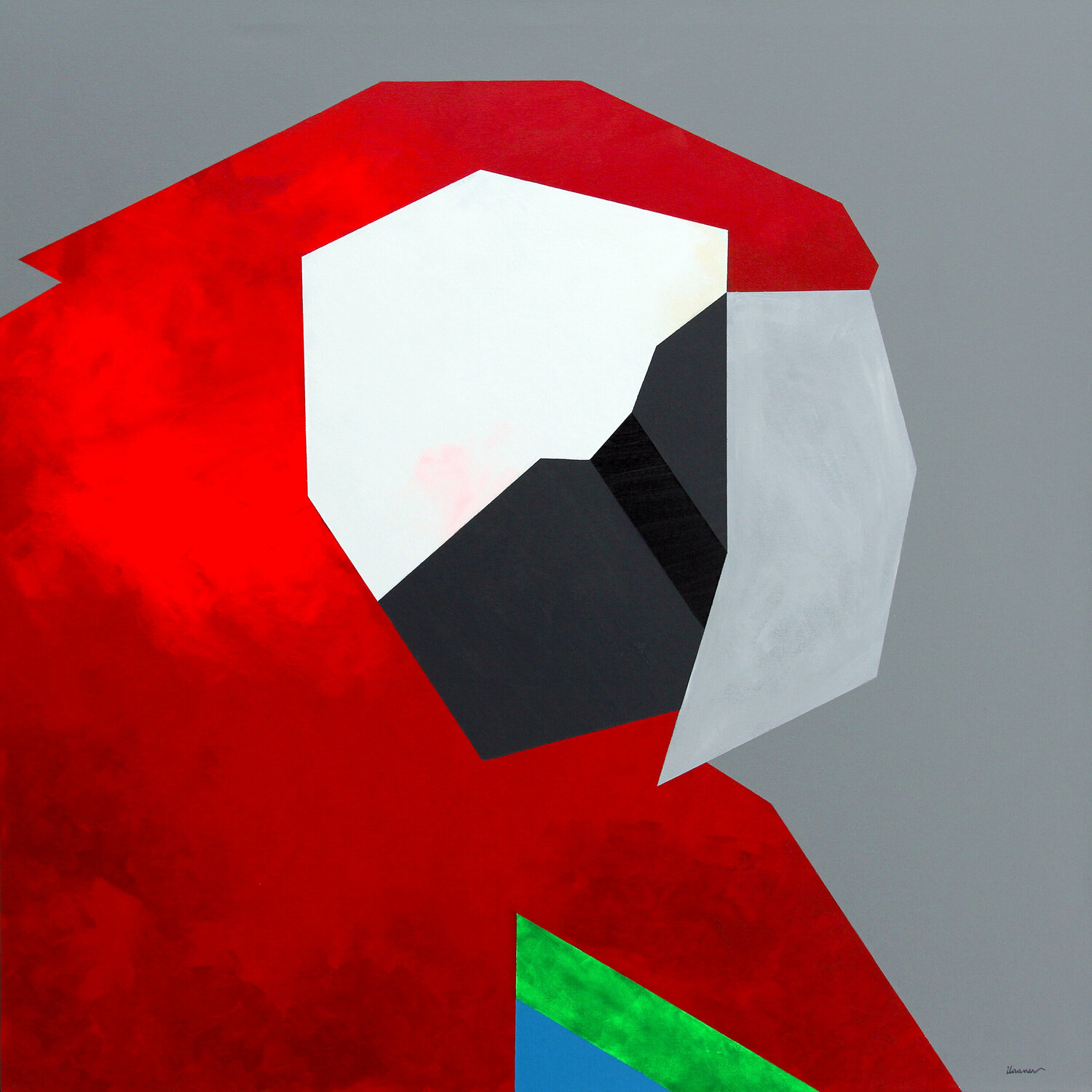 Guacamaya Ilaamen Pelshaw