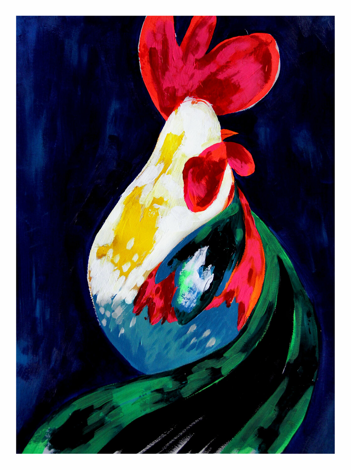 Rooster Ilaamen Pelshaw