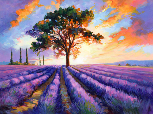 Sunset over the Lavender Field di Leon Devenice, Pittura in vendita su Singulart