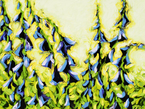 Garden 6 van Bill Stone, Schilderij te koop op Singulart