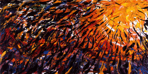 Drawn to the Sun Bill Stone