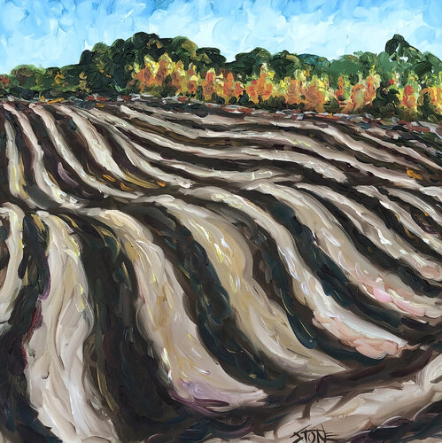 Furrows di Bill Stone, Pittura in vendita su Singulart
