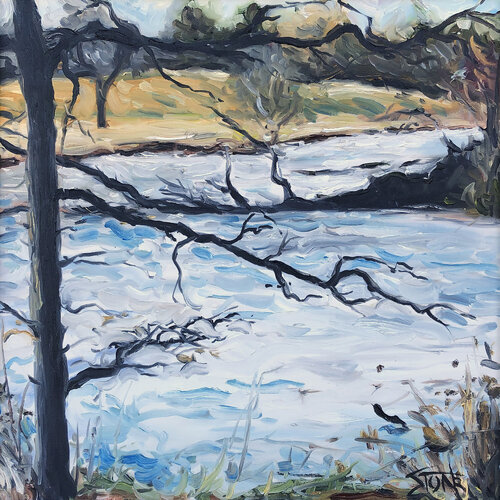 Dormant Tree van Bill Stone, Schilderij te koop op Singulart