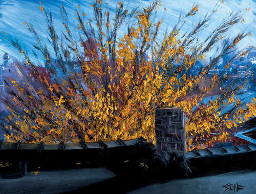 Elm From Roof van Bill Stone, Schilderij te koop op Singulart
