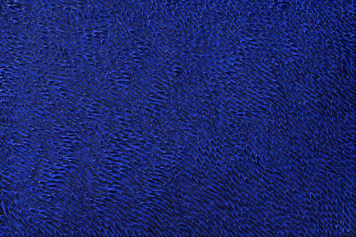 Blue Dragon Bill Stone