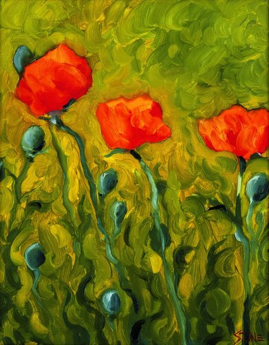 Three Poppies van Bill Stone, Schilderij te koop op Singulart