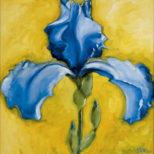 Lone Iris van Bill Stone, Schilderij te koop op Singulart