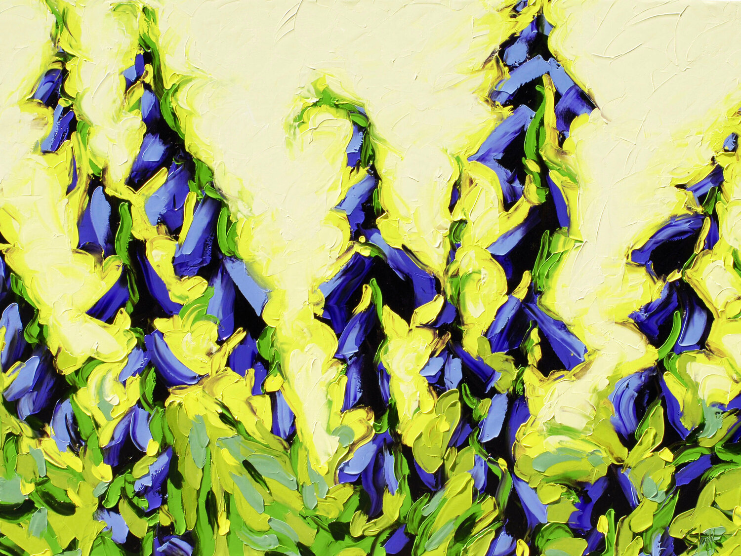 Garden 5 Bill Stone