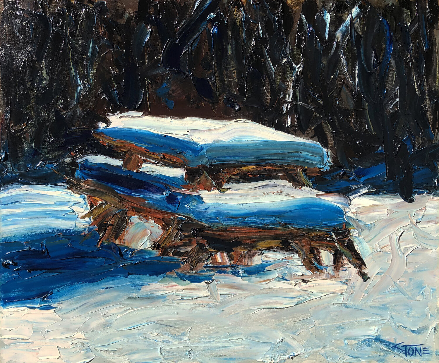 Snow Picnic Bill Stone