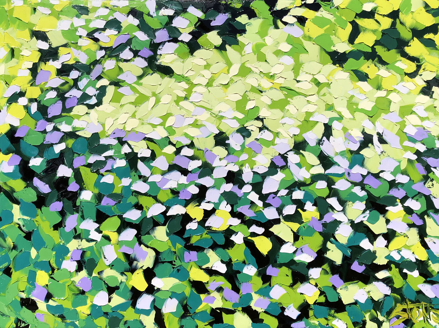 Spring Forest 1 Bill Stone