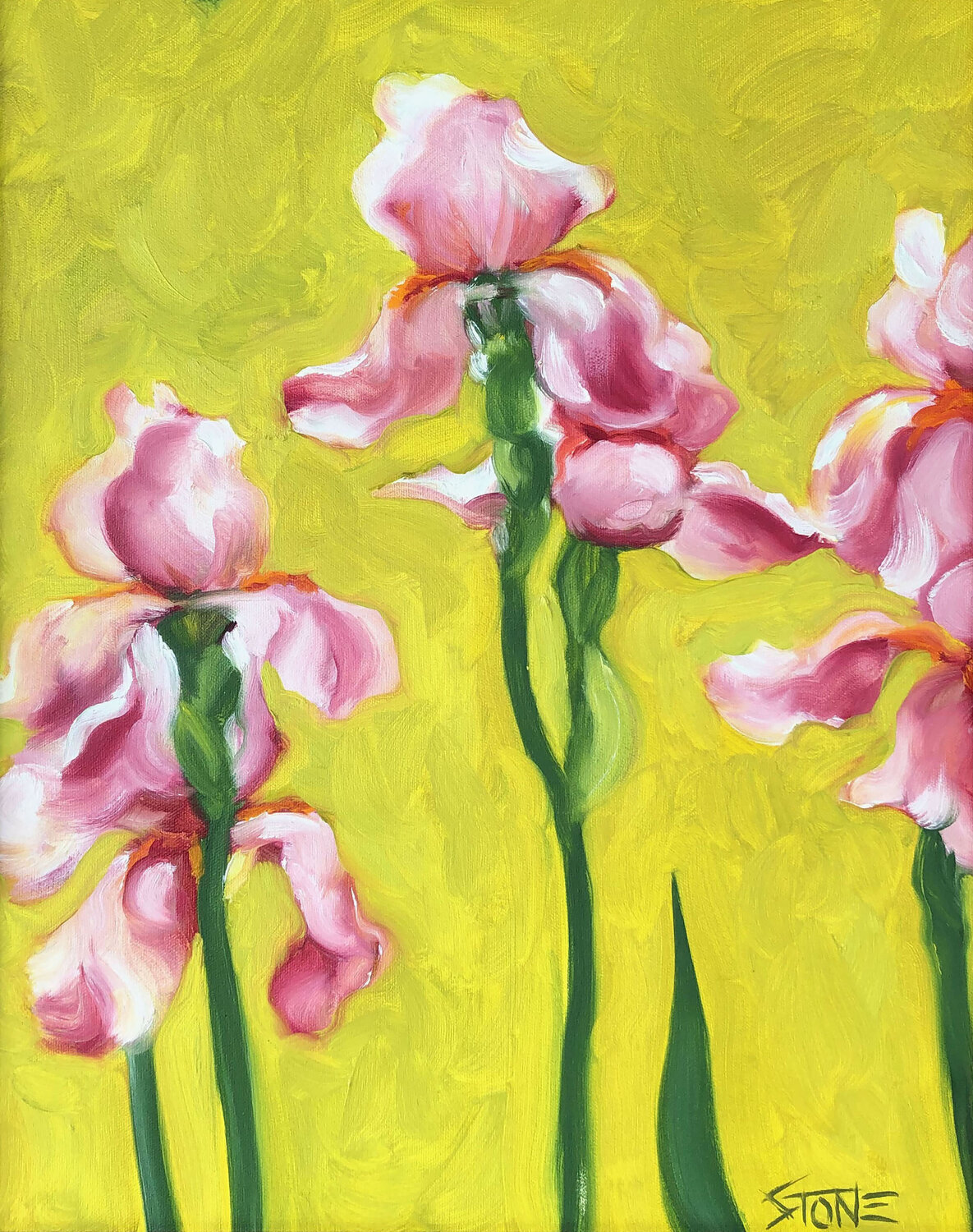 Pink Iris Bill Stone
