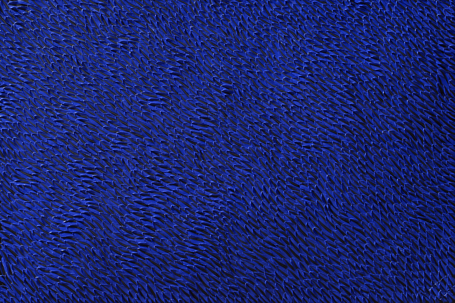 Blue Dragon Bill Stone