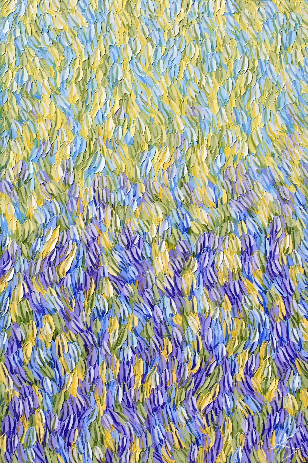 Wildflower 2 Bill Stone