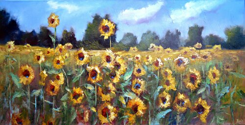 Sunflower field Elena Lukina
